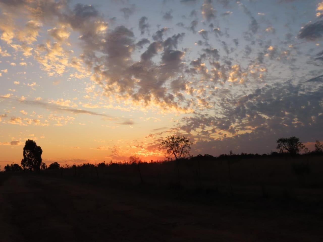 Hotel Sanctuary Life Guest Farm Magaliesburg Exteriér fotografie