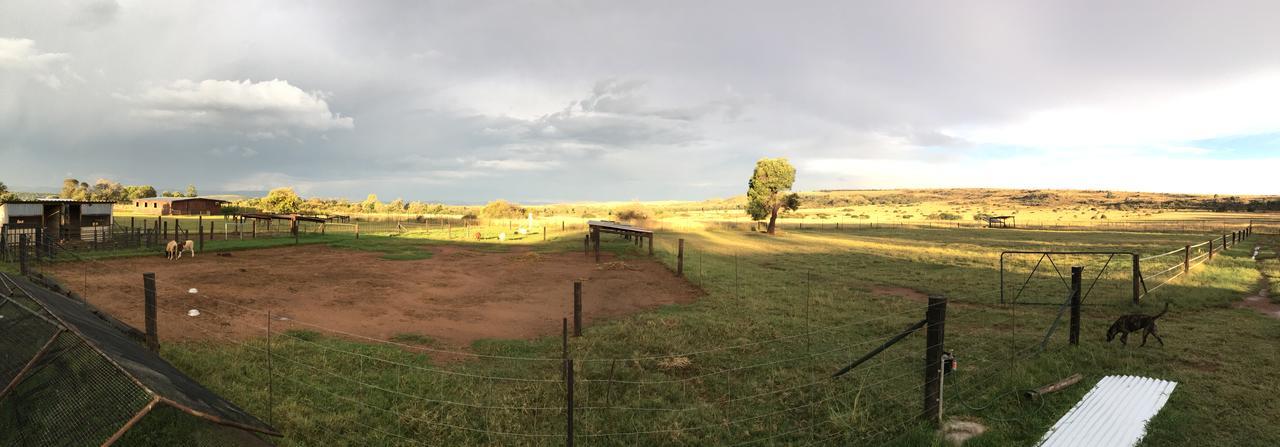 Hotel Sanctuary Life Guest Farm Magaliesburg Exteriér fotografie