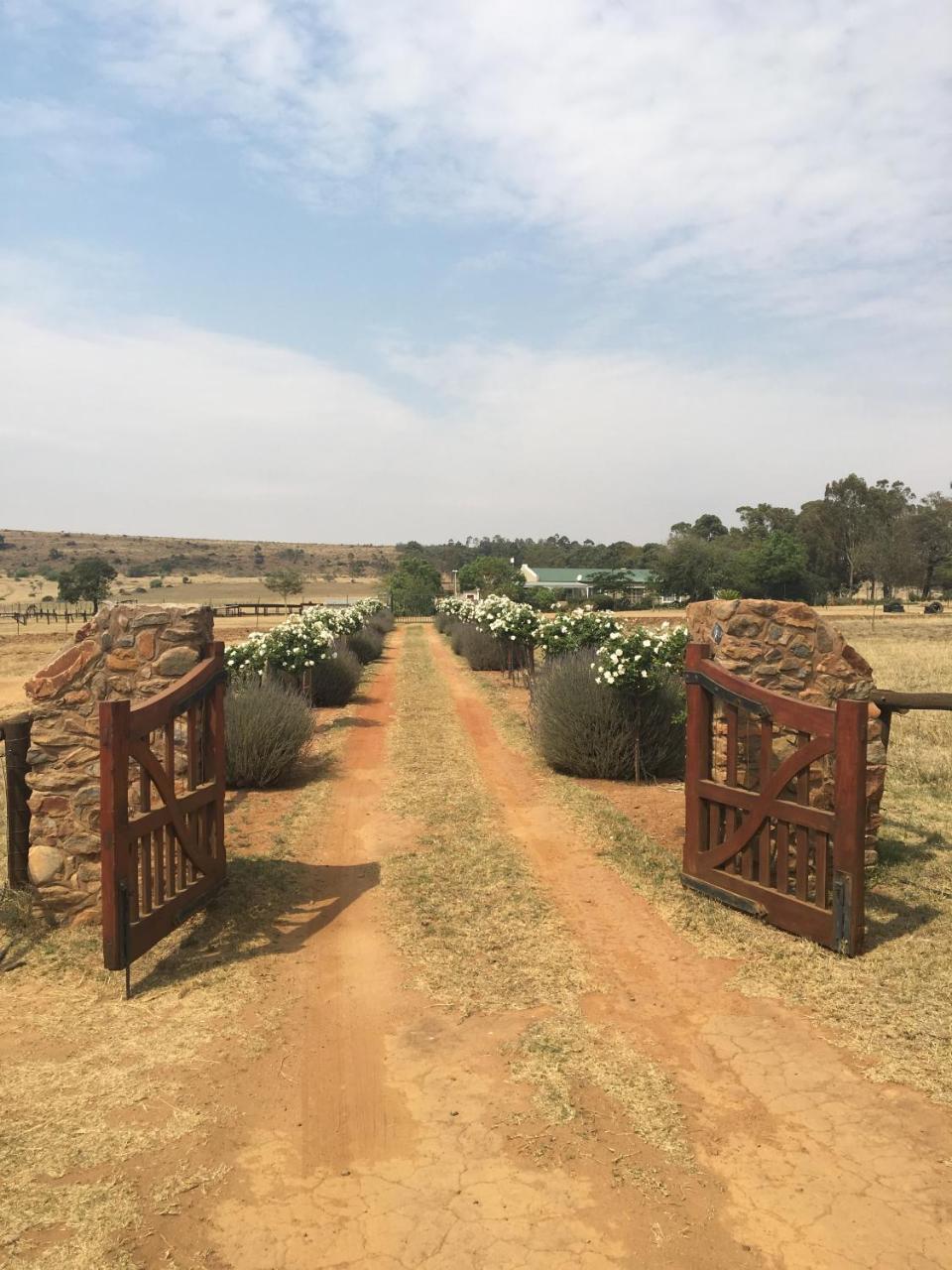 Hotel Sanctuary Life Guest Farm Magaliesburg Exteriér fotografie