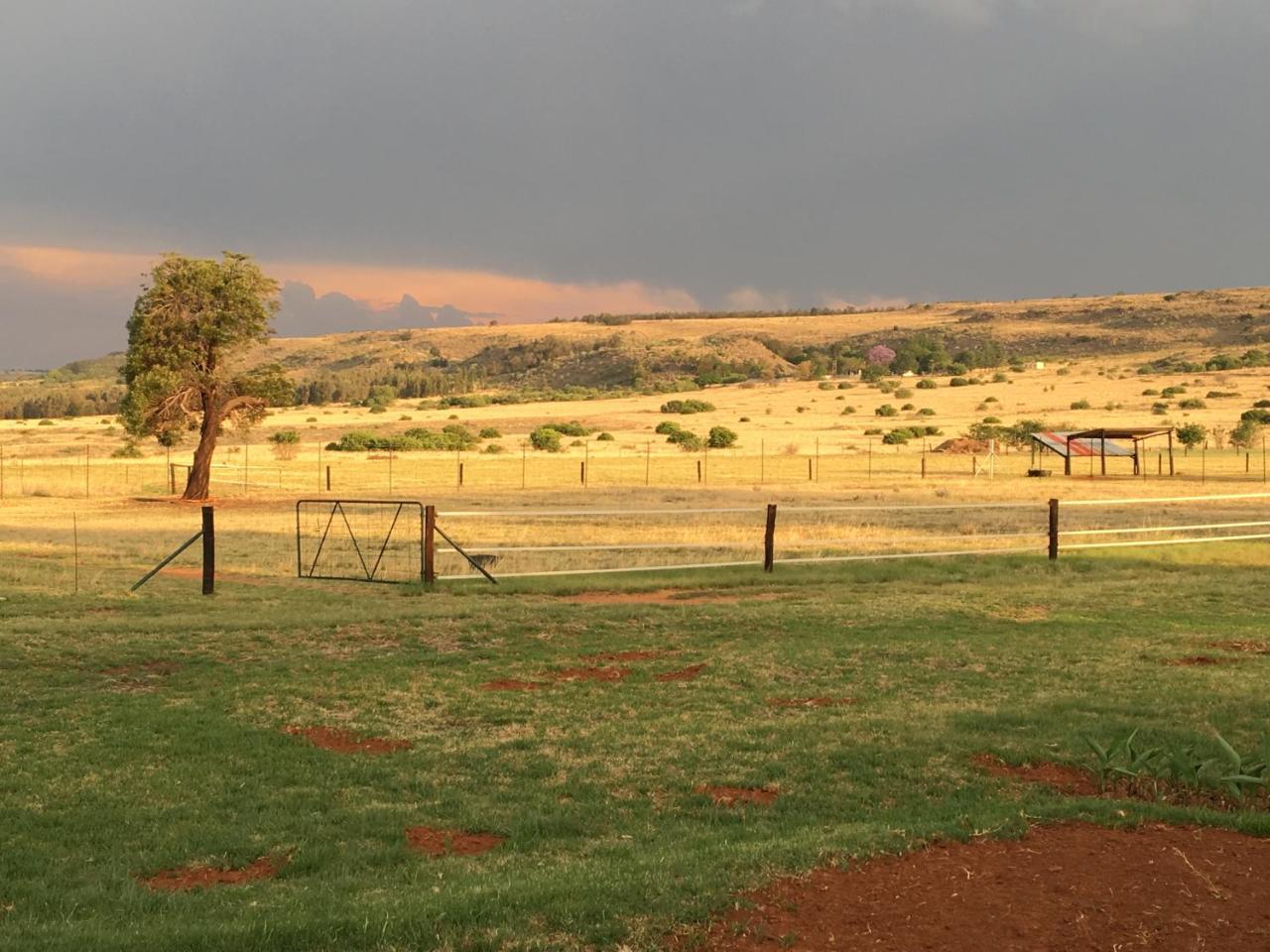 Hotel Sanctuary Life Guest Farm Magaliesburg Exteriér fotografie